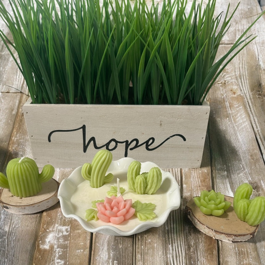 Cactus Gardens candle, desk plant, Succulent garden, Handmade candle, coconut essence