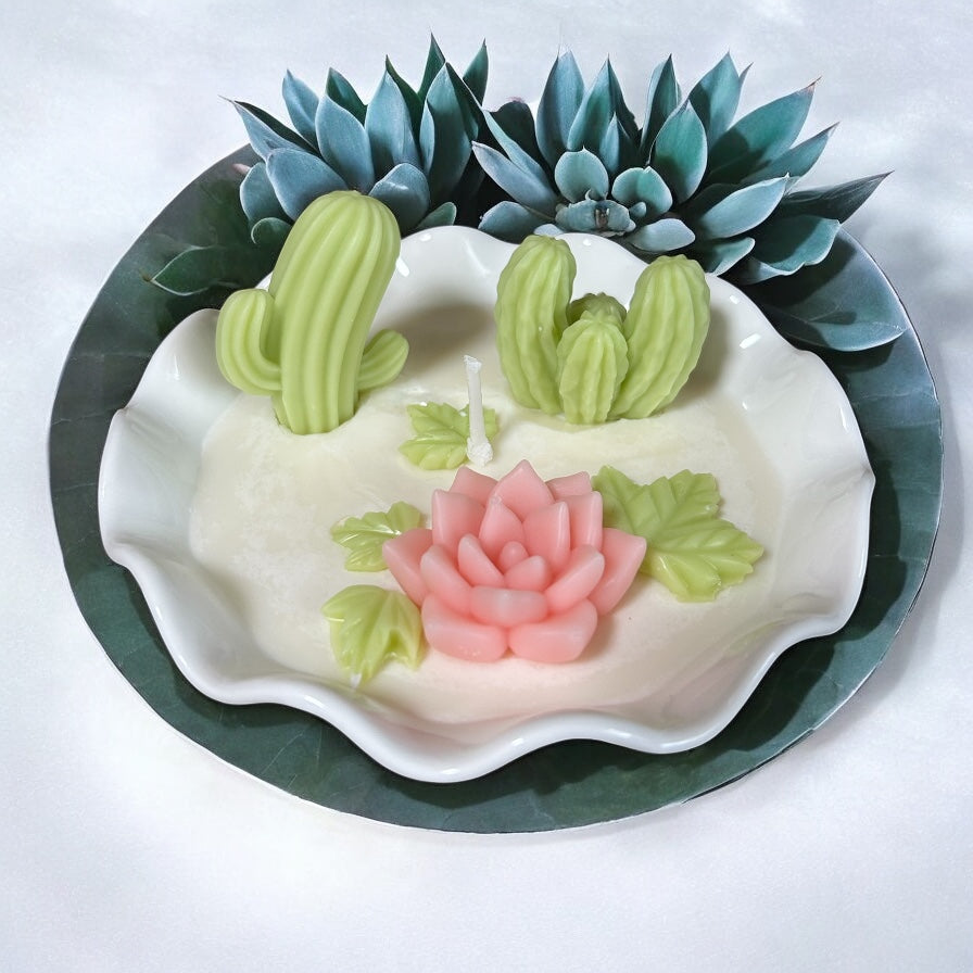 Cactus Gardens candle, desk plant, Succulent garden, Handmade candle, coconut essence